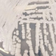 Candida auris. (Image: CDC)